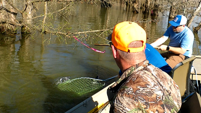 Limb Lining for Catfish: A Complete Guide