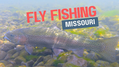 Small Baits Catching Quality Trout